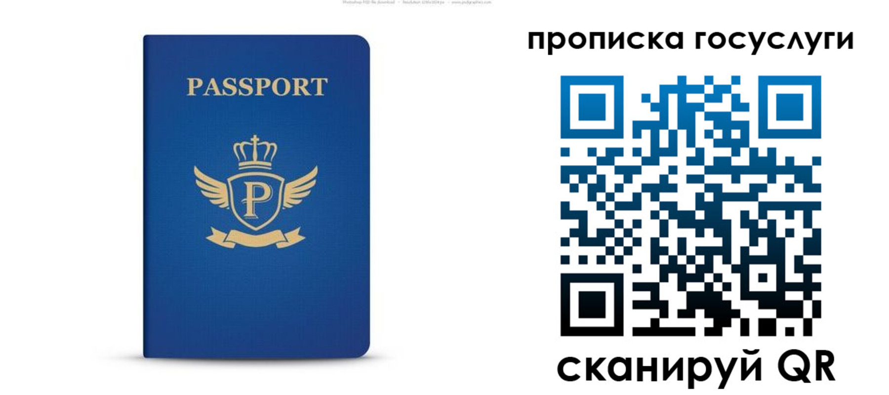 прописка для школы в Ржеве